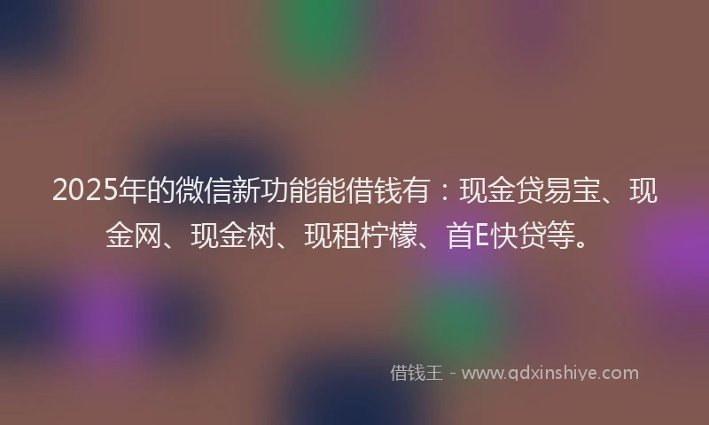2025年的微信新功能能借钱有：现金贷易宝、现金网、现金树、现租柠檬、首E快贷等。