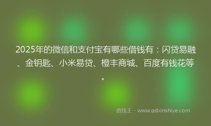 2025年的微信和支付宝有哪些借钱有：闪贷易融、金钥匙、小米易贷、橙丰商城、百度有钱花等。