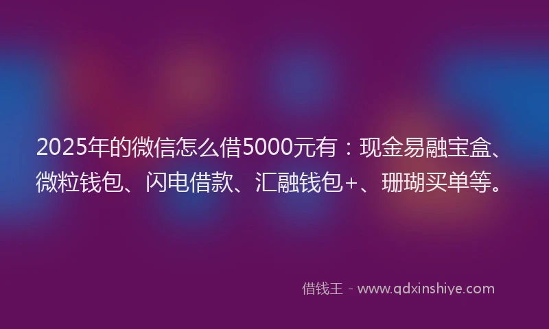 2025年的微信怎么借5000元有：现金易融宝盒、微粒钱包、闪电借款、汇融钱包+、珊瑚买单等。
