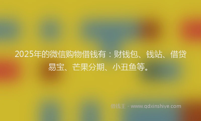2025年的微信购物借钱有：财钱包、钱站、借贷易宝、芒果分期、小丑鱼等。