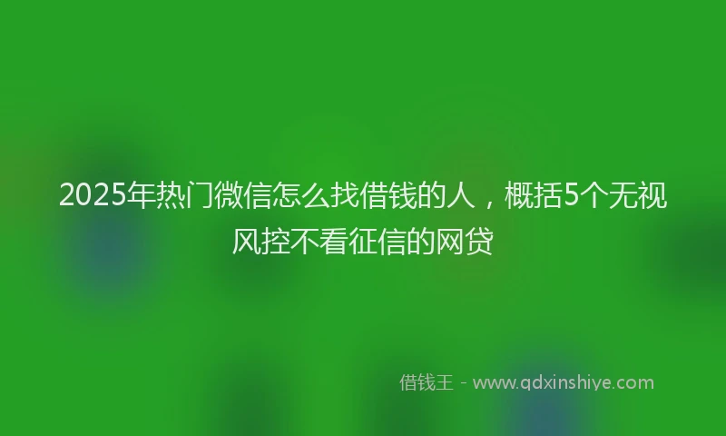 2025年热门微信怎么找借钱的人，概括5个无视风控不看征信的网贷