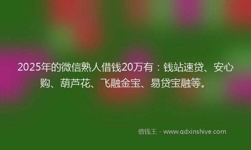 2025年的微信熟人借钱20万有：钱站速贷、安心购、葫芦花、飞融金宝、易贷宝融等。