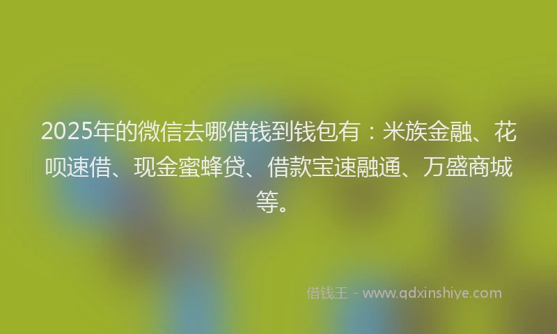2025年的微信去哪借钱到钱包有：米族金融、花呗速借、现金蜜蜂贷、借款宝速融通、万盛商城等。