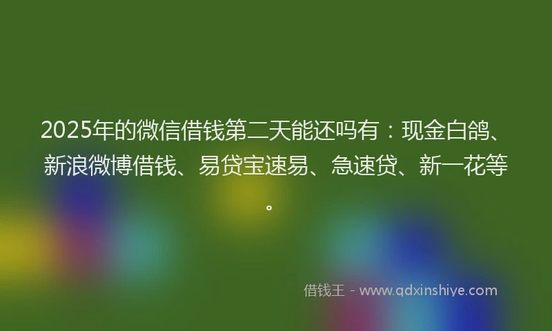 2025年的微信借钱第二天能还吗有：现金白鸽、新浪微博借钱、易贷宝速易、急速贷、新一花等。