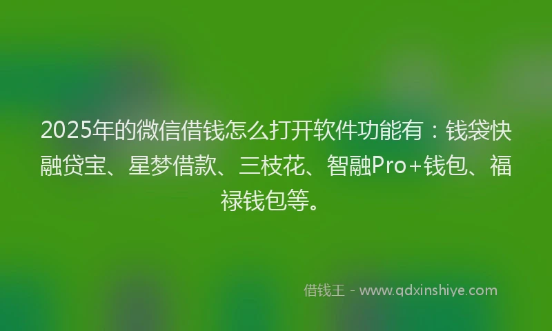 2025年的微信借钱怎么打开软件功能有：钱袋快融贷宝、星梦借款、三枝花、智融Pro+钱包、福禄钱包等。