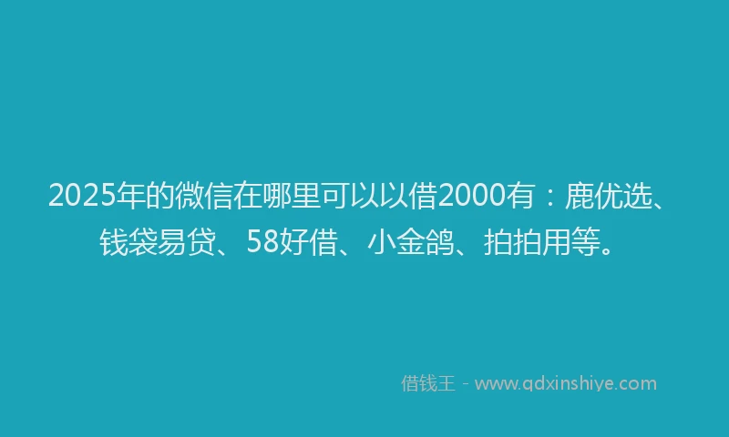 2025年的微信在哪里可以以借2000有：鹿优选、钱袋易贷、58好借、小金鸽、拍拍用等。