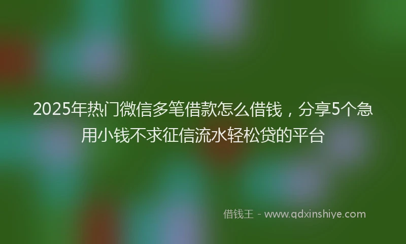 2025年热门微信多笔借款怎么借钱，分享5个急用小钱不求征信流水轻松贷的平台