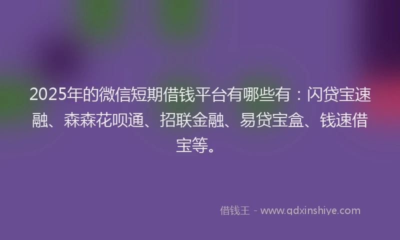 2025年的微信短期借钱平台有哪些有：闪贷宝速融、森森花呗通、招联金融、易贷宝盒、钱速借宝等。