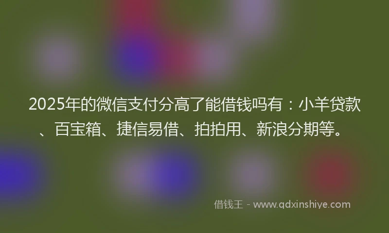 2025年的微信支付分高了能借钱吗有：小羊贷款、百宝箱、捷信易借、拍拍用、新浪分期等。