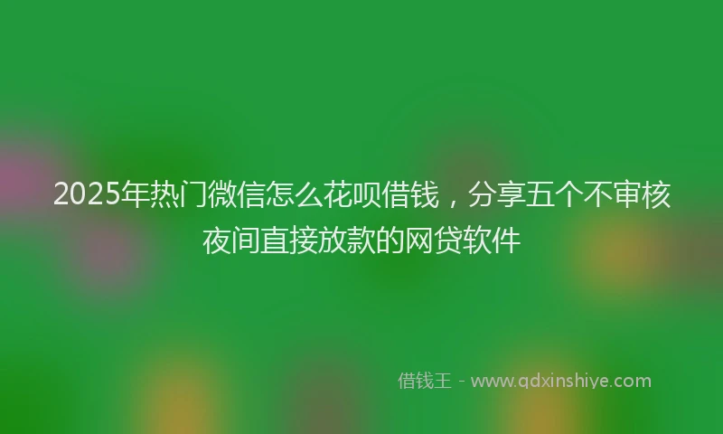 2025年热门微信怎么花呗借钱，分享五个不审核夜间直接放款的网贷软件