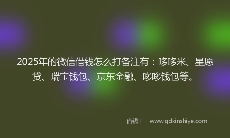 2025年的微信借钱怎么打备注有：哆哆米、星愿贷、瑞宝钱包、京东金融、哆哆钱包等。