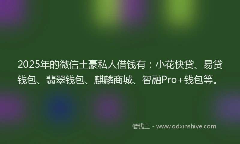 2025年的微信土豪私人借钱有：小花快贷、易贷钱包、翡翠钱包、麒麟商城、智融Pro+钱包等。