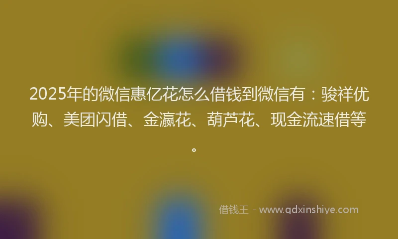 2025年的微信惠亿花怎么借钱到微信有：骏祥优购、美团闪借、金瀛花、葫芦花、现金流速借等。