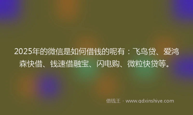 2025年的微信是如何借钱的呢有：飞鸟贷、爱鸿森快借、钱速借融宝、闪电购、微粒快贷等。