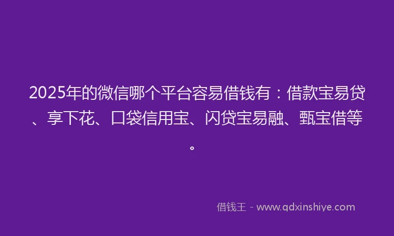 2025年的微信哪个平台容易借钱有：借款宝易贷、享下花、口袋信用宝、闪贷宝易融、甄宝借等。
