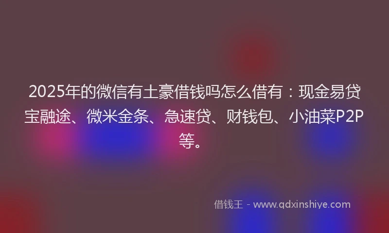2025年的微信有土豪借钱吗怎么借有：现金易贷宝融途、微米金条、急速贷、财钱包、小油菜P2P等。