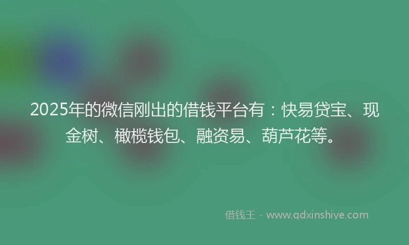 2025年的微信刚出的借钱平台有：快易贷宝、现金树、橄榄钱包、融资易、葫芦花等。