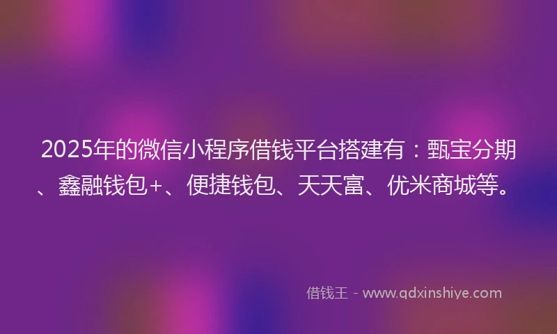2025年的微信小程序借钱平台搭建有：甄宝分期、鑫融钱包+、便捷钱包、天天富、优米商城等。