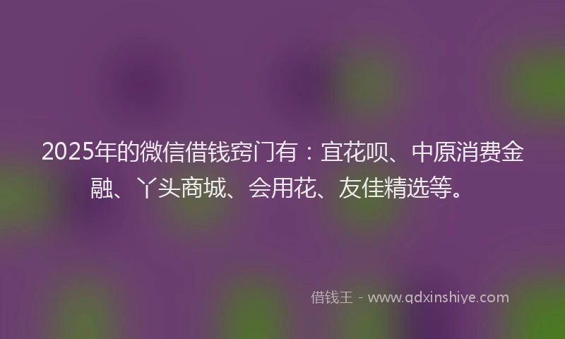 2025年的微信借钱窍门有：宜花呗、中原消费金融、丫头商城、会用花、友佳精选等。