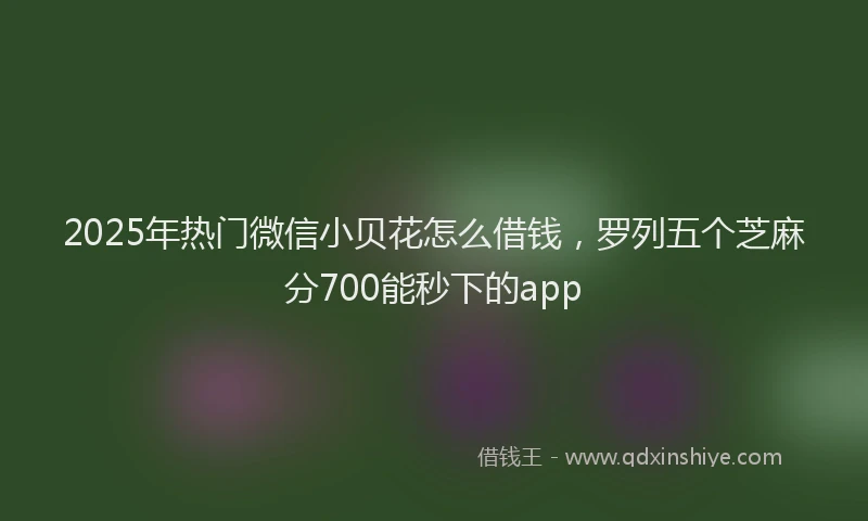 2025年热门微信小贝花怎么借钱，罗列五个芝麻分700能秒下的app