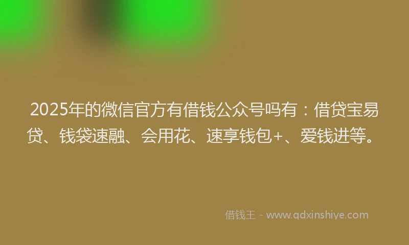 2025年的微信官方有借钱公众号吗有：借贷宝易贷、钱袋速融、会用花、速享钱包+、爱钱进等。