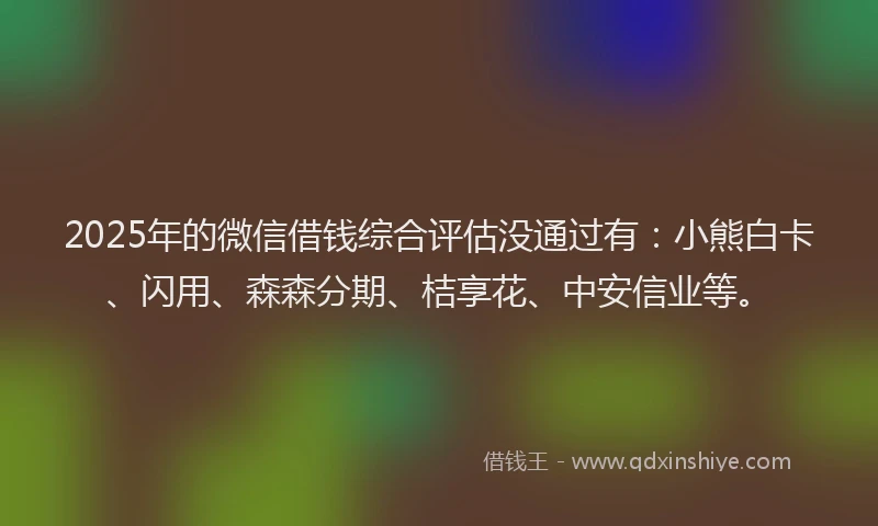 2025年的微信借钱综合评估没通过有：小熊白卡、闪用、森森分期、桔享花、中安信业等。