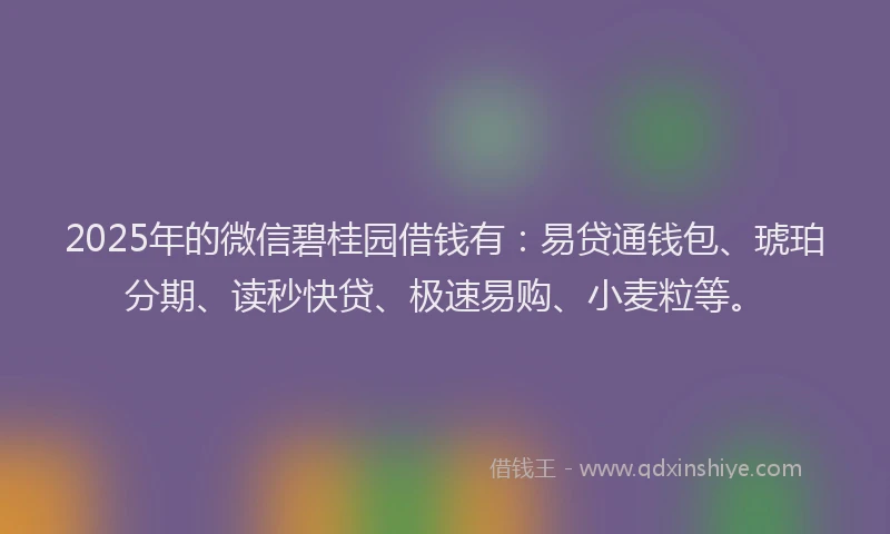 2025年的微信碧桂园借钱有：易贷通钱包、琥珀分期、读秒快贷、极速易购、小麦粒等。