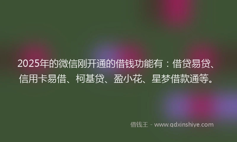 2025年的微信刚开通的借钱功能有：借贷易贷、信用卡易借、柯基贷、盈小花、星梦借款通等。