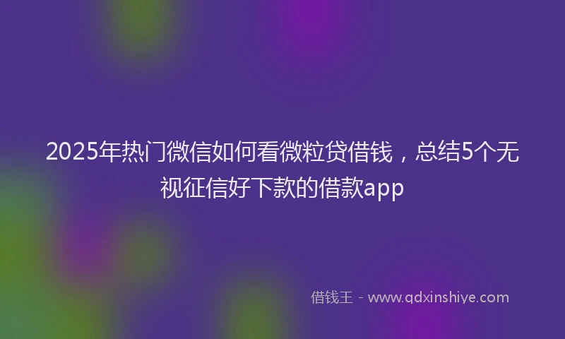 2025年热门微信如何看微粒贷借钱，总结5个无视征信好下款的借款app