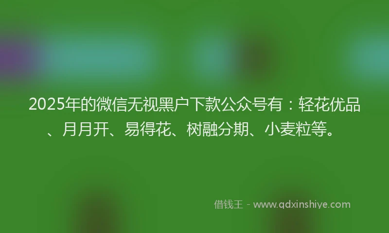 2025年的微信无视黑户下款公众号有：轻花优品、月月开、易得花、树融分期、小麦粒等。