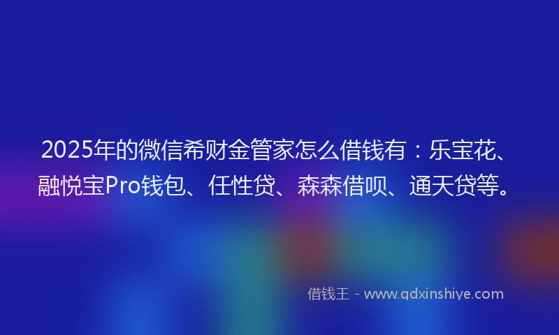 2025年的微信希财金管家怎么借钱有：乐宝花、融悦宝Pro钱包、任性贷、森森借呗、通天贷等。