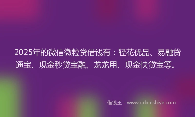 2025年的微信微粒贷借钱有：轻花优品、易融贷通宝、现金秒贷宝融、龙龙用、现金快贷宝等。