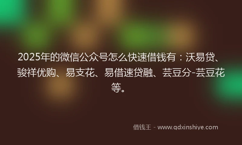 2025年的微信公众号怎么快速借钱有：沃易贷、骏祥优购、易支花、易借速贷融、芸豆分-芸豆花等。