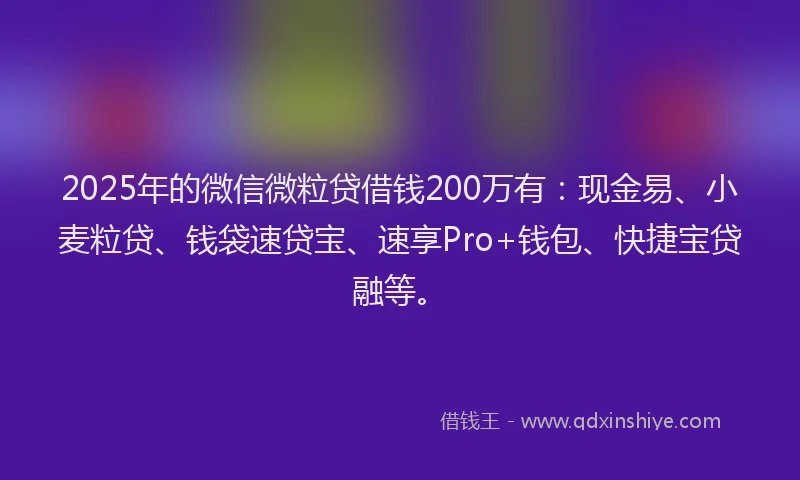2025年的微信微粒贷借钱200万有：现金易、小麦粒贷、钱袋速贷宝、速享Pro+钱包、快捷宝贷融等。