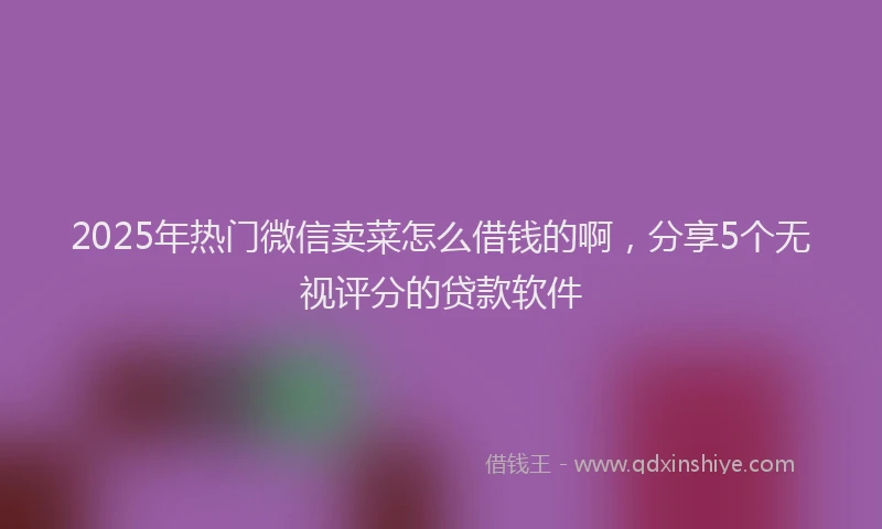 2025年热门微信卖菜怎么借钱的啊，分享5个无视评分的贷款软件