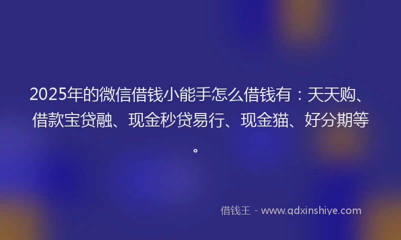 2025年的微信借钱小能手怎么借钱有：天天购、借款宝贷融、现金秒贷易行、现金猫、好分期等。