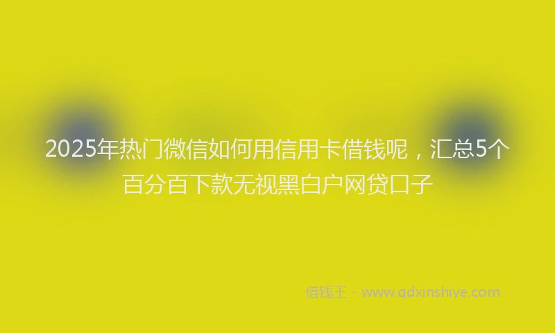 2025年热门微信如何用信用卡借钱呢，汇总5个百分百下款无视黑白户网贷口子