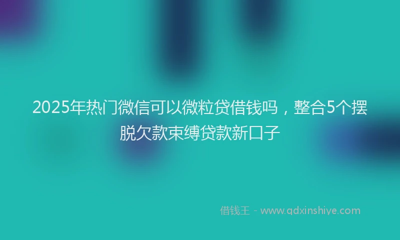 2025年热门微信可以微粒贷借钱吗，整合5个摆脱欠款束缚贷款新口子