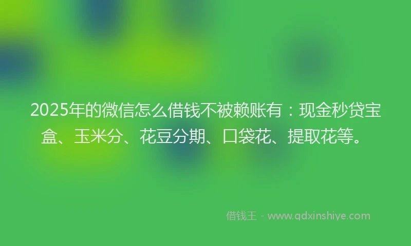 2025年的微信怎么借钱不被赖账有：现金秒贷宝盒、玉米分、花豆分期、口袋花、提取花等。
