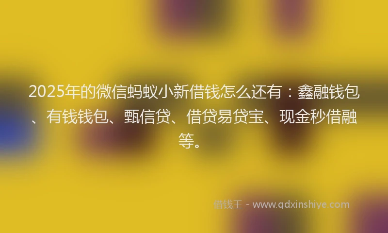 2025年的微信蚂蚁小新借钱怎么还有：鑫融钱包、有钱钱包、甄信贷、借贷易贷宝、现金秒借融等。
