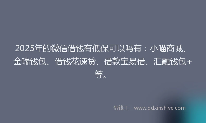 2025年的微信借钱有低保可以吗有：小喵商城、金瑞钱包、借钱花速贷、借款宝易借、汇融钱包+等。