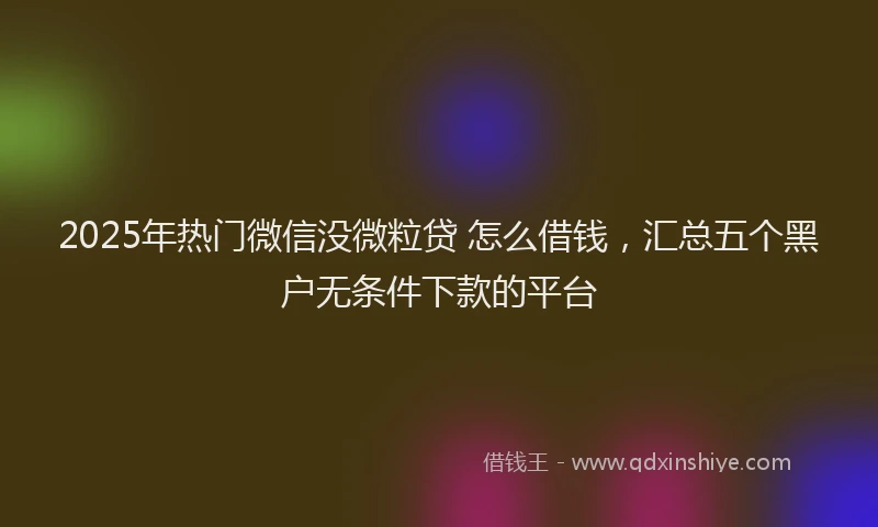 2025年热门微信没微粒贷 怎么借钱，汇总五个黑户无条件下款的平台
