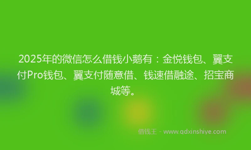 2025年的微信怎么借钱小鹅有：金悦钱包、翼支付Pro钱包、翼支付随意借、钱速借融途、招宝商城等。