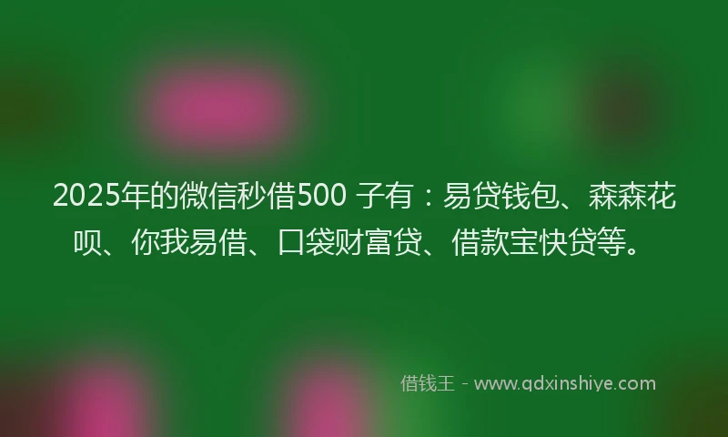 2025年的微信秒借500 子有：易贷钱包、森森花呗、你我易借、口袋财富贷、借款宝快贷等。