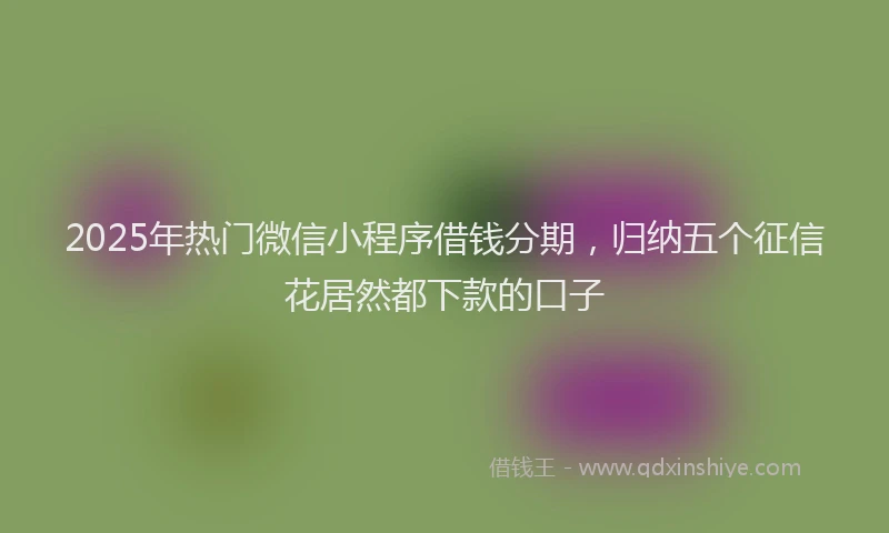 2025年热门微信小程序借钱分期，归纳五个征信花居然都下款的口子