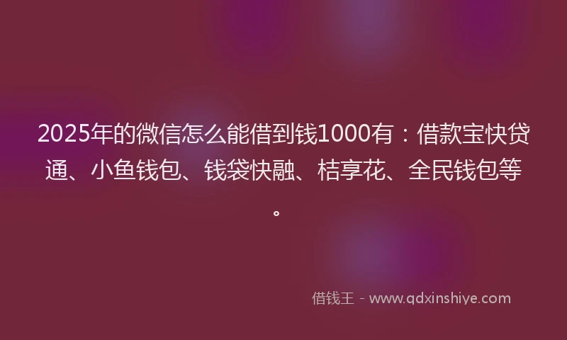 2025年的微信怎么能借到钱1000有：借款宝快贷通、小鱼钱包、钱袋快融、桔享花、全民钱包等。