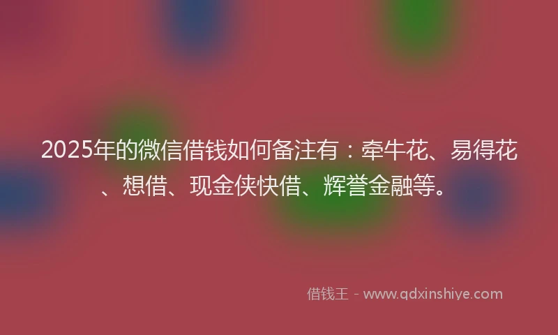 2025年的微信借钱如何备注有：牵牛花、易得花、想借、现金侠快借、辉誉金融等。