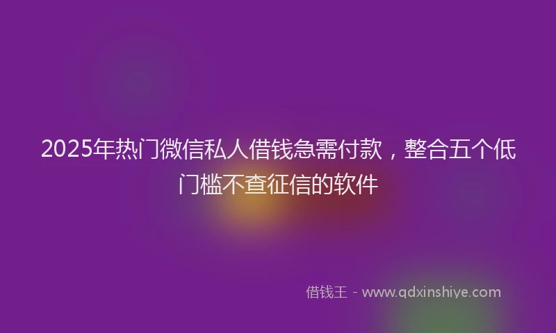 2025年热门微信私人借钱急需付款，整合五个低门槛不查征信的软件