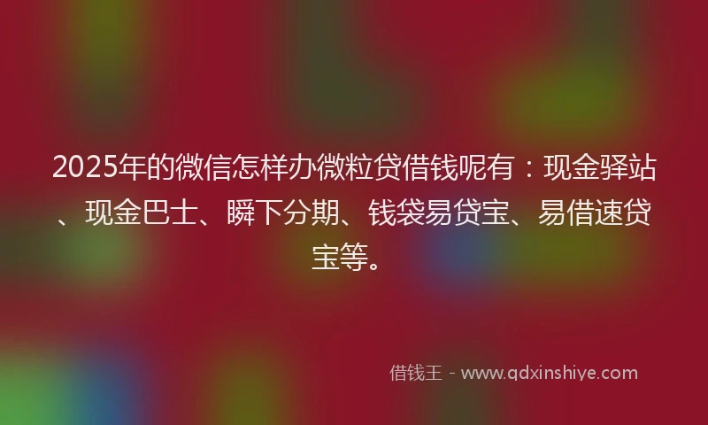 2025年的微信怎样办微粒贷借钱呢有：现金驿站、现金巴士、瞬下分期、钱袋易贷宝、易借速贷宝等。