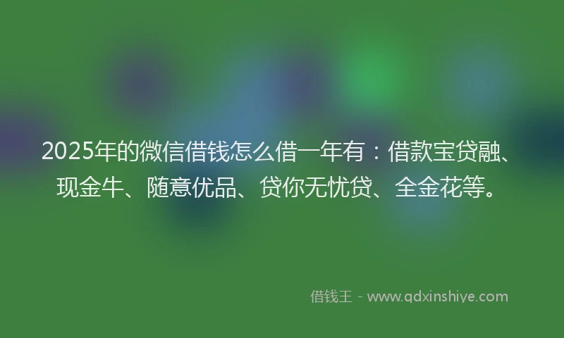 2025年的微信借钱怎么借一年有：借款宝贷融、现金牛、随意优品、贷你无忧贷、全金花等。